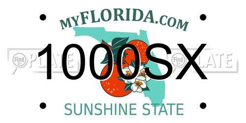 1000SX Florida License Plate