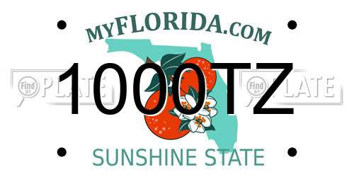 1000TZ Florida License Plate
