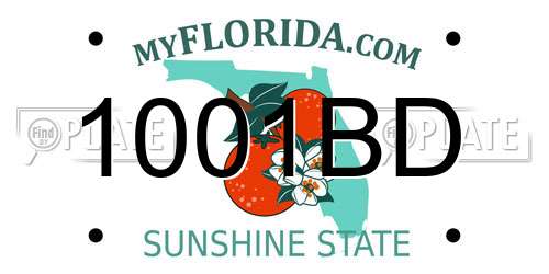 1001BD Florida License Plate