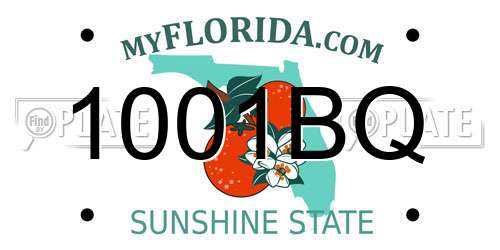 1001BQ Florida License Plate
