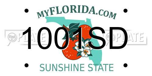 1001SD Florida License Plate