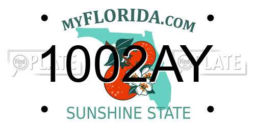 1002AY Florida License Plate