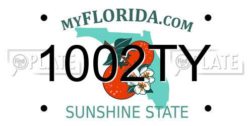 1002TY Florida License Plate
