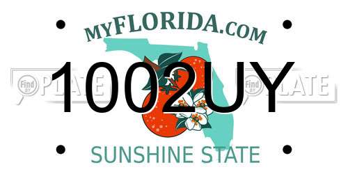1002UY Florida License Plate