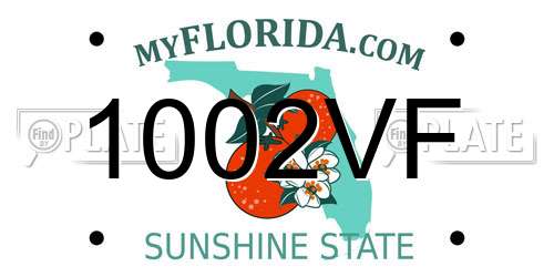1002VF Florida License Plate