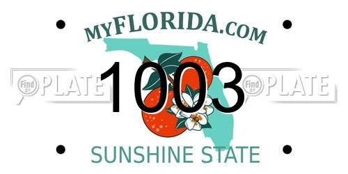 1003 Florida License Plate