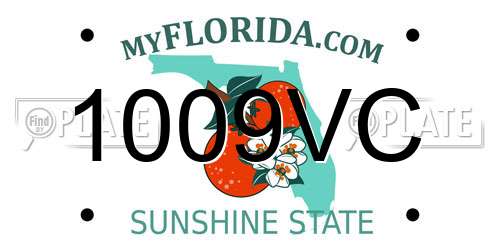 1009VC Florida License Plate