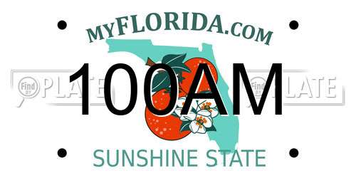 100AM Florida License Plate