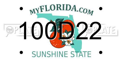 100D22 Florida License Plate