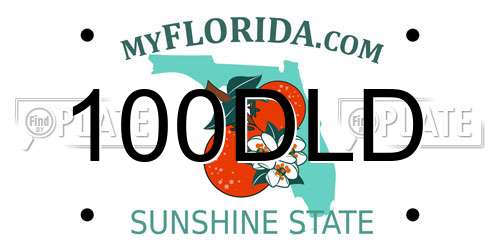 100DLD Florida License Plate