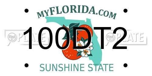 100DT2 Florida License Plate