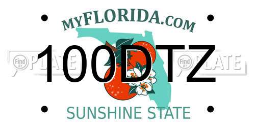 100DTZ Florida License Plate