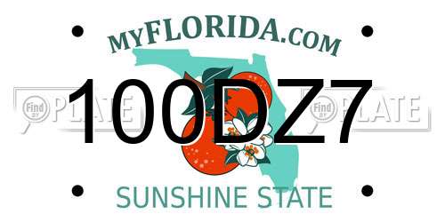 100DZ7 Florida License Plate