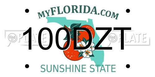 100DZT Florida License Plate
