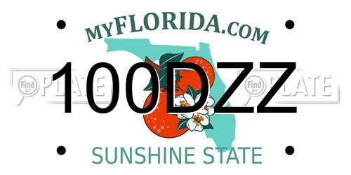 100DZZ Florida License Plate