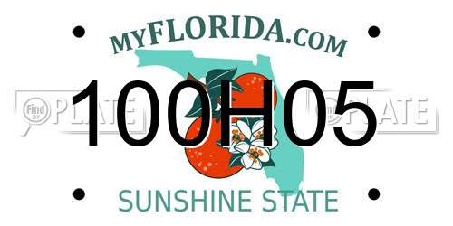 100H05 Florida License Plate