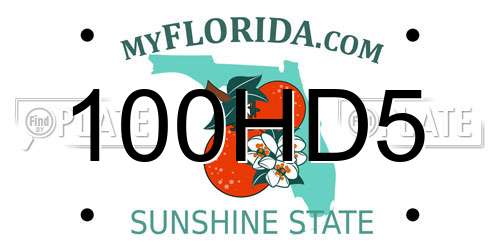 100HD5 Florida License Plate
