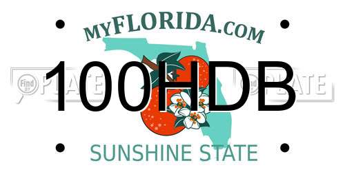 100HDB Florida License Plate
