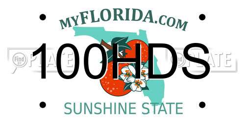 100HDS Florida License Plate