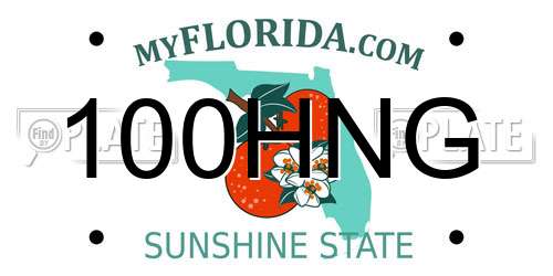 100HNG Florida License Plate