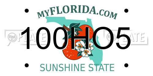 100HO5 Florida License Plate