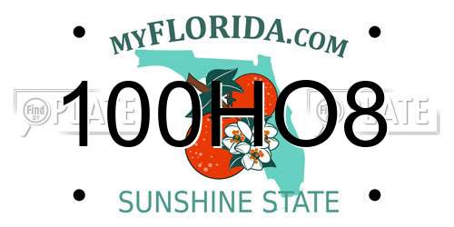 100HO8 Florida License Plate