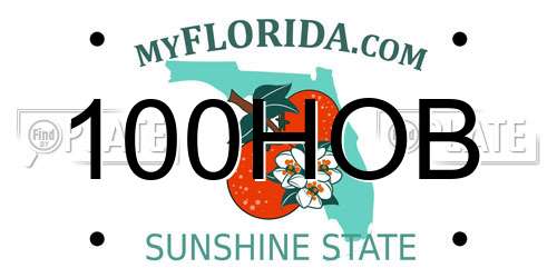 100HOB Florida License Plate