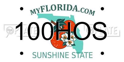 100HOS Florida License Plate