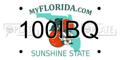 100IBQ Florida License Plate