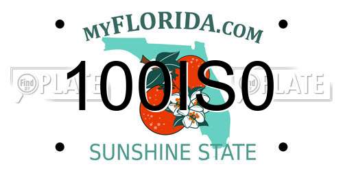 100IS0 Florida License Plate