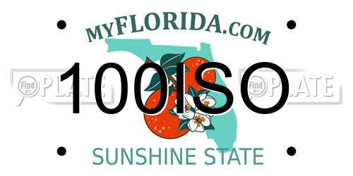 100ISO Florida License Plate