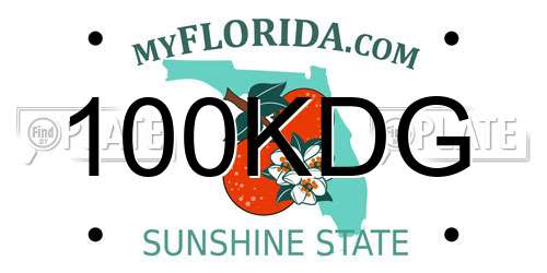 100KDG Florida License Plate