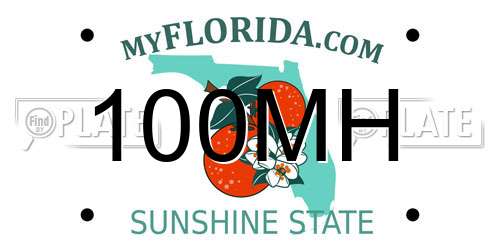 100MH Florida License Plate