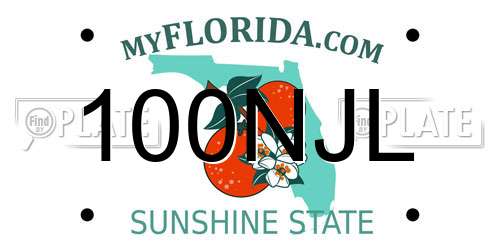 100NJL Florida License Plate