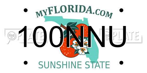 100NNU Florida License Plate