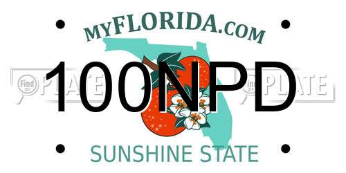 100NPD Florida License Plate