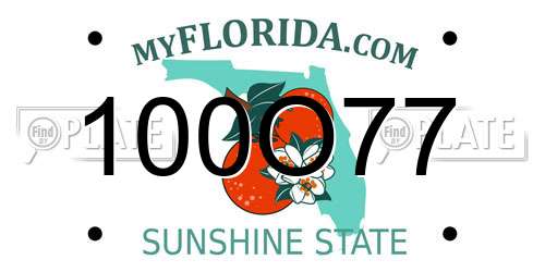 100O77 Florida License Plate
