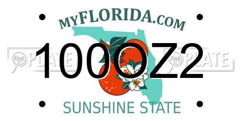 100OZ2 Florida License Plate