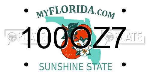 100OZ7 Florida License Plate