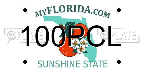 100PCL Florida License Plate