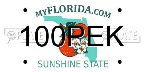 100PEK Florida License Plate