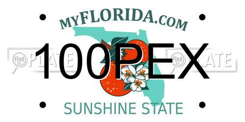 100PEX Florida License Plate