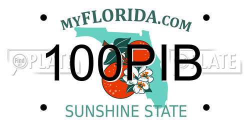 100PIB Florida License Plate