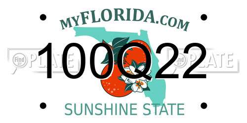 100Q22 Florida License Plate