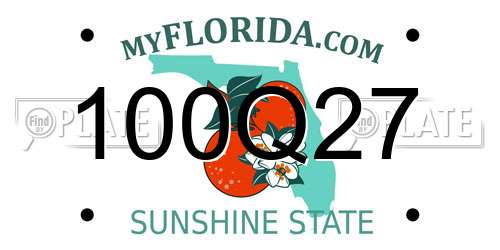 100Q27 Florida License Plate