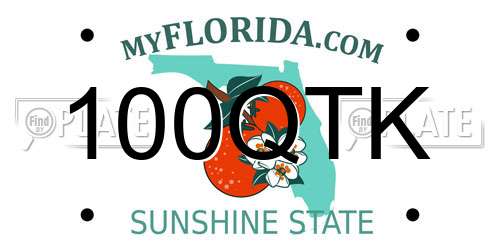 100QTK Florida License Plate