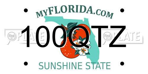 100QTZ Florida License Plate