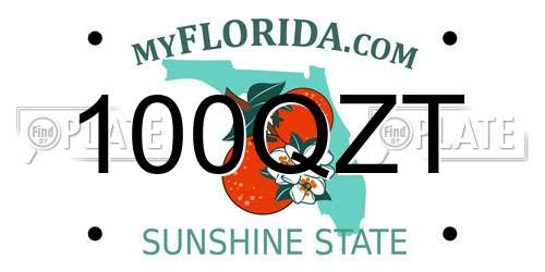 100QZT Florida License Plate