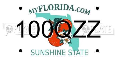 100QZZ Florida License Plate