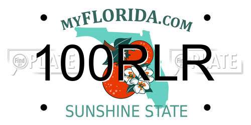 100RLR Florida License Plate
